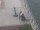 Webcam in Detroit, Michigan, 17.3 mi away