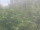 Webcam in Detroit, Michigan, 124.7 km
