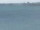 Webcam in Detroit, Michigan, 137 km entfernt