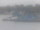 Webcam in Detroit, Michigan, 48.4 km entfernt