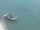 Webcam in Detroit, Michigan, 15 km entfernt