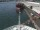 Webcam on the Costa Diadema, 22.2 mi away