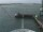 Webcam sulla Costa Diadema, 1.6 km