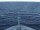 Webcam on the Costa Diadema, 6.4 mi away