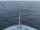 Webcam on the Costa Diadema, 691.5 mi away