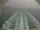 Webcam auf der Costa Favolosa, 55.7 km entfernt