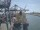Webcam auf der Costa Deliziosa, 24.4 km entfernt