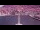 Webcam on the AIDAperla, 0 mi away