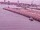 Webcam sur la AIDAperla, 2.3 km