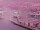 Webcam sulla AIDAperla, 48.8 km