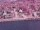 Webcam on the AIDAperla, 0 mi away