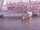 Webcam on the AIDAperla, 10.3 mi away