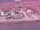Webcam on the AIDAperla, 26 mi away