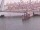 Webcam sulla AIDAperla, 9.9 km
