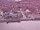 Webcam sur la AIDAperla, 26 km