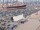 Webcam sulla AIDAperla, 54 km