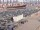 Webcam sur la AIDAperla, 3.6 km
