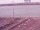 Webcam on the AIDAperla, 5.7 mi away
