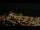 Webcam in L'Estartit, 13.1 km