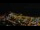 Webcam in L'Estartit, 6.2 km