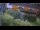 Webcam in Bad Harzburg, 0.7 km