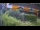 Webcam in Bad Harzburg, 31.3 km