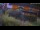 Webcam in Bad Harzburg, 0 km