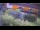 Webcam in Bad Harzburg, 0 km