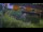 Webcam in Bad Harzburg, 0 mi away