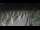 Webcam in Castiglione della Pescaia, 19.5 mi away