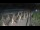 Webcam in Castiglione della Pescaia, 50.3 km
