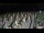 Webcam in Castiglione della Pescaia, 13.6 mi away