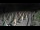 Webcam in Castiglione della Pescaia, 13.6 mi away