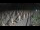 Webcam in Castiglione della Pescaia, 46.5 km entfernt