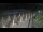 Webcam in Castiglione della Pescaia, 41.5 km