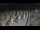 Webcam in Castiglione della Pescaia, 46.5 km