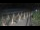 Webcam in Castiglione della Pescaia, 46.5 km entfernt