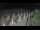 Webcam in Castiglione della Pescaia, 39.8 km entfernt