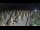 Webcam in Castiglione della Pescaia, 19.5 mi away