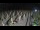 Webcam in Castiglione della Pescaia, 1.7 mi away