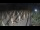 Webcam in Castiglione della Pescaia, 53.1 km