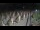 Webcam in Castiglione della Pescaia, 41.5 km