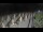 Webcam in Castiglione della Pescaia, 20.5 mi away