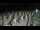 Webcam in Castiglione della Pescaia, 10.6 mi away