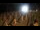 Webcam in Castiglione della Pescaia, 46.8 km