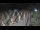 Webcam in Castiglione della Pescaia, 15.8 km
