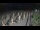 Webcam in Castiglione della Pescaia, 15.3 mi away