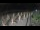 Webcam in Castiglione della Pescaia, 46.5 km entfernt
