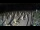 Webcam in Castiglione della Pescaia, 17.8 mi away