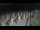 Webcam in Castiglione della Pescaia, 19.4 mi away